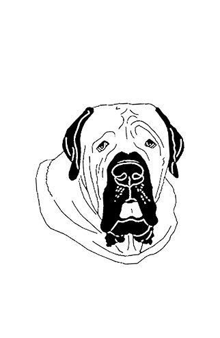 #2773 - Mastiff