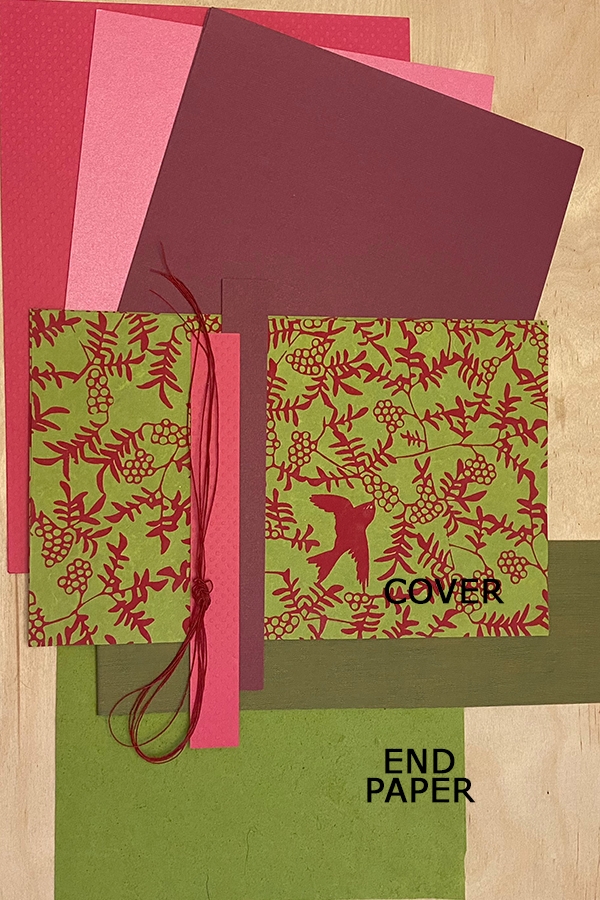 Books By Scratch - Birds On Green and Pink