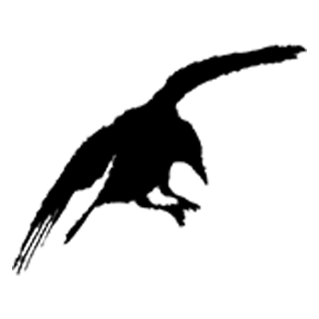 #1967 - Single Crow - Halloween