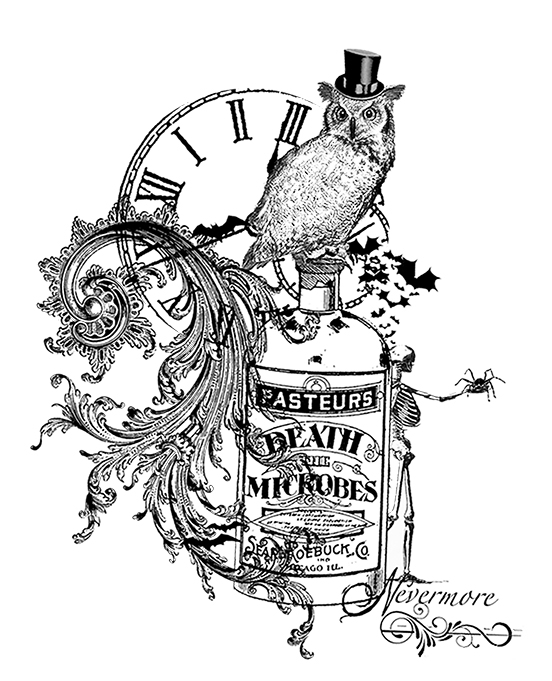 #2711 - Microbes Owl - Owl/Collage