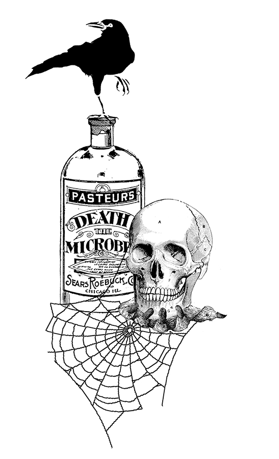 #2745 - Microbes Skull - Halloween