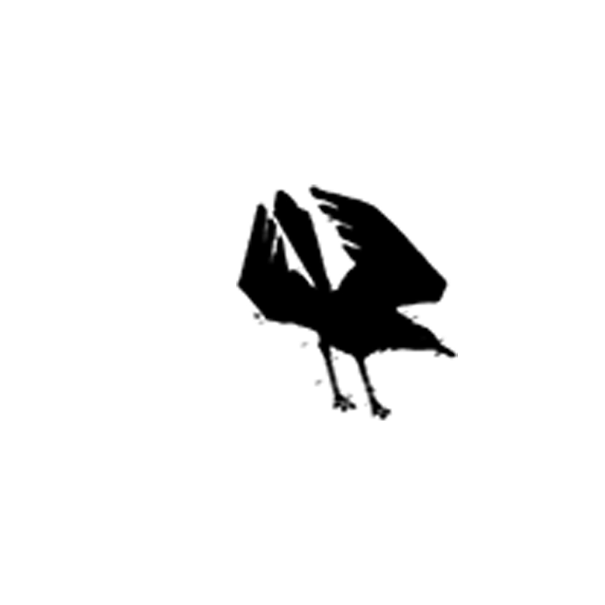 #1963 - Little Crow - Halloween