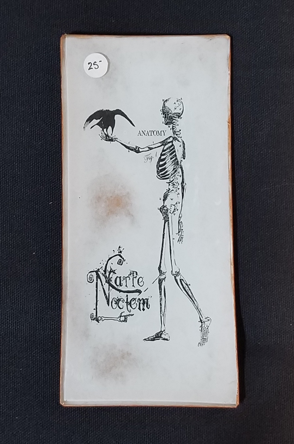 Halloween Plate - S - Anatomy