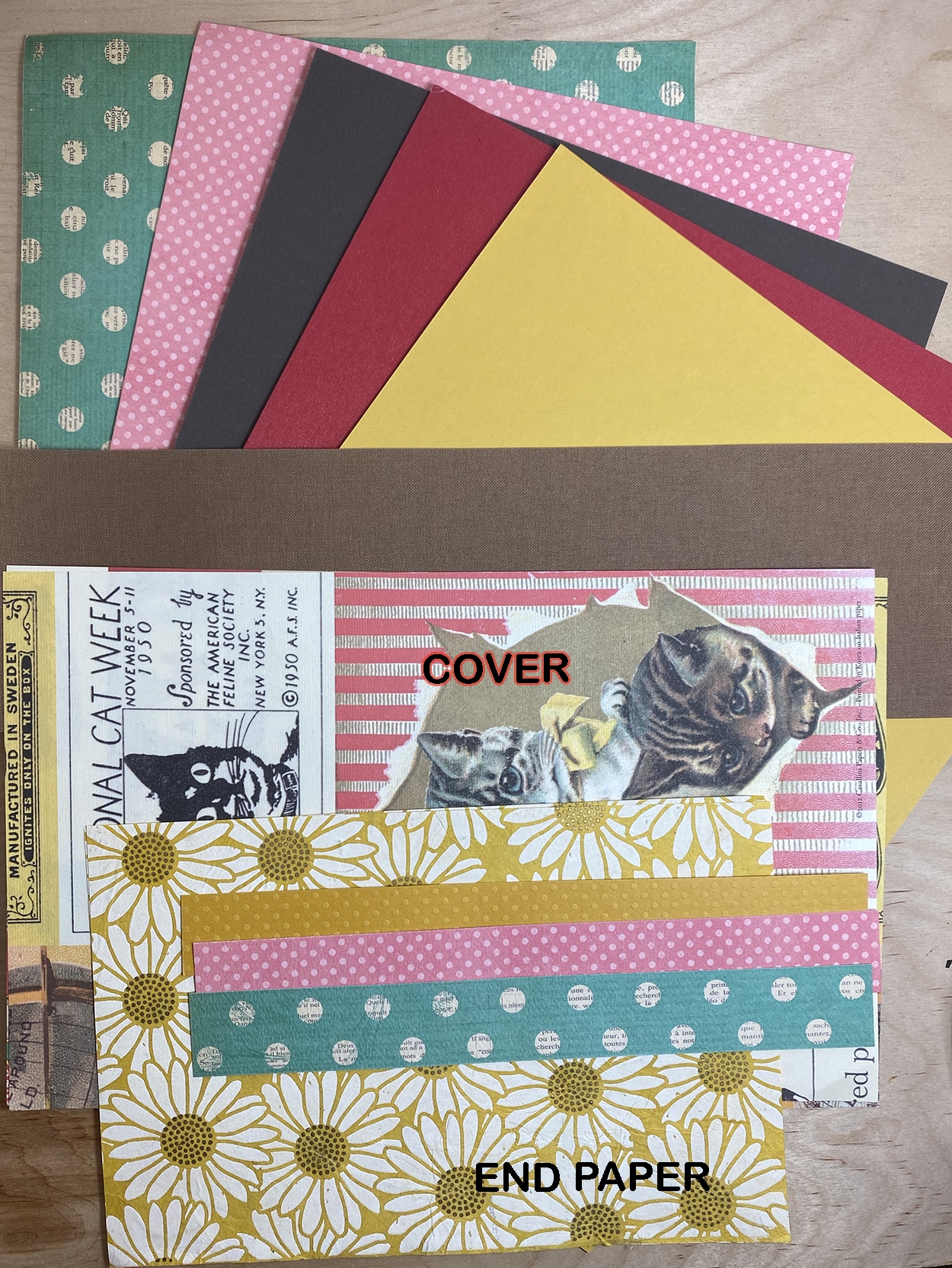 Books By Scratch - SBYE012